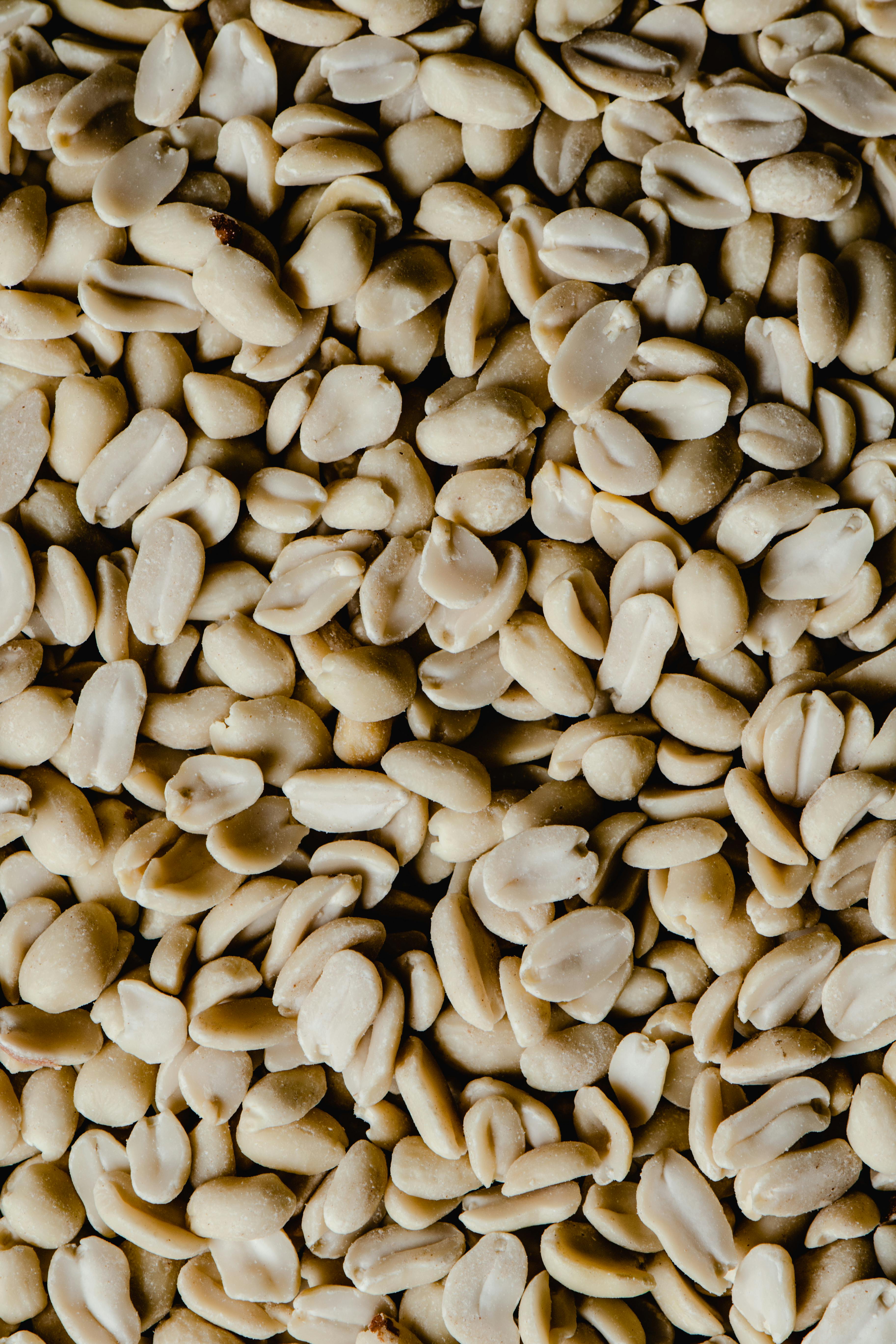 Premium Peanut Butter Manufacturing Facility - WS New Horizons South Africa