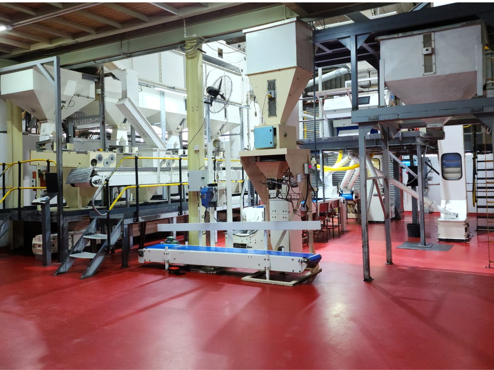 Blanched Peanuts and Ground Nuts Processing and Supply