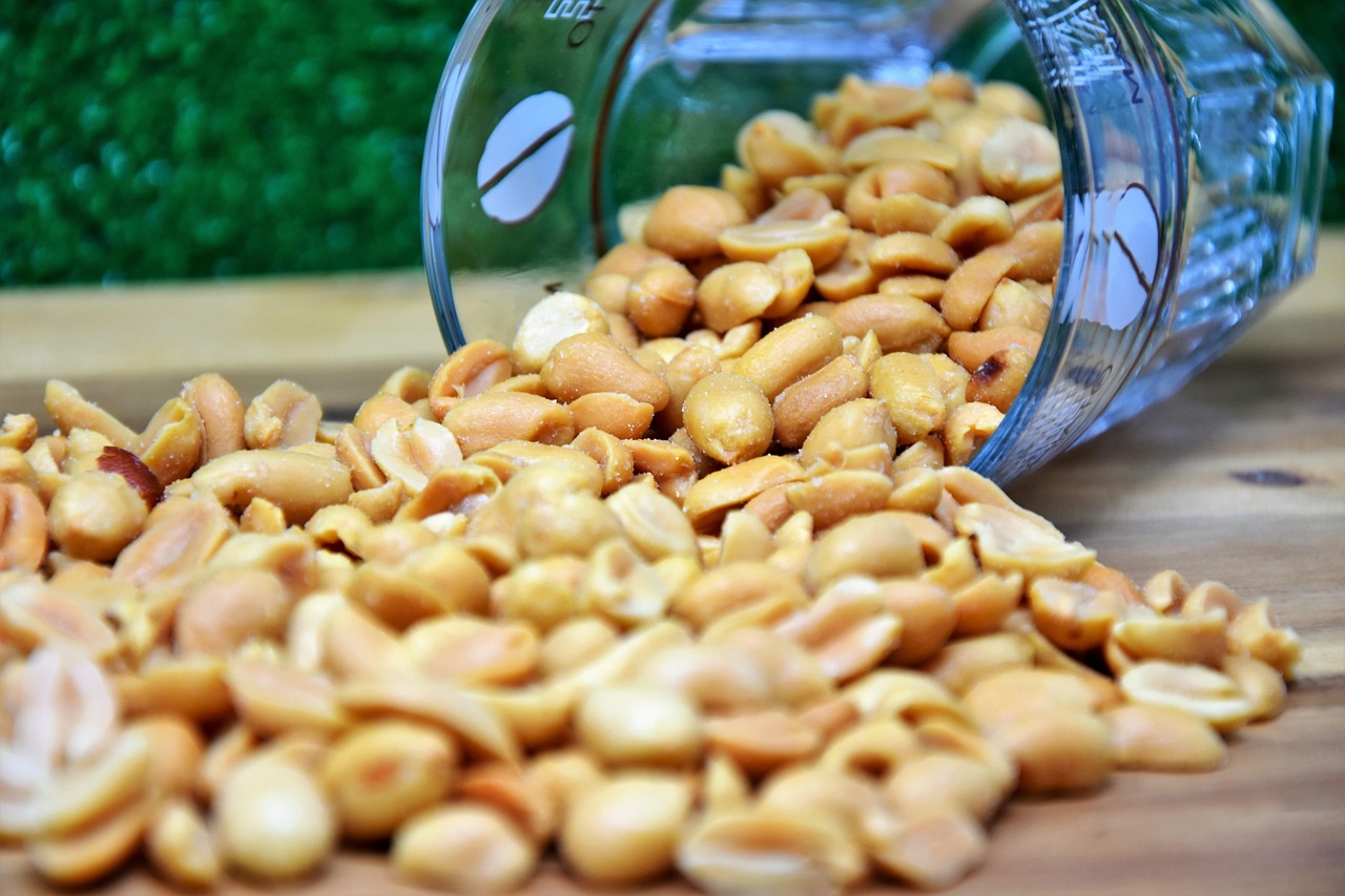 Roasted Peanuts and Ground Nuts Wholesale Supply